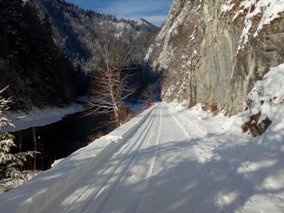 Schronisko Pttk Orlica Hotel Szczawnica Eksteriør billede